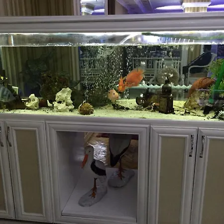 Grand 3* Provincia di Istanbul