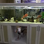 غراند مارك 3* اسطنبول